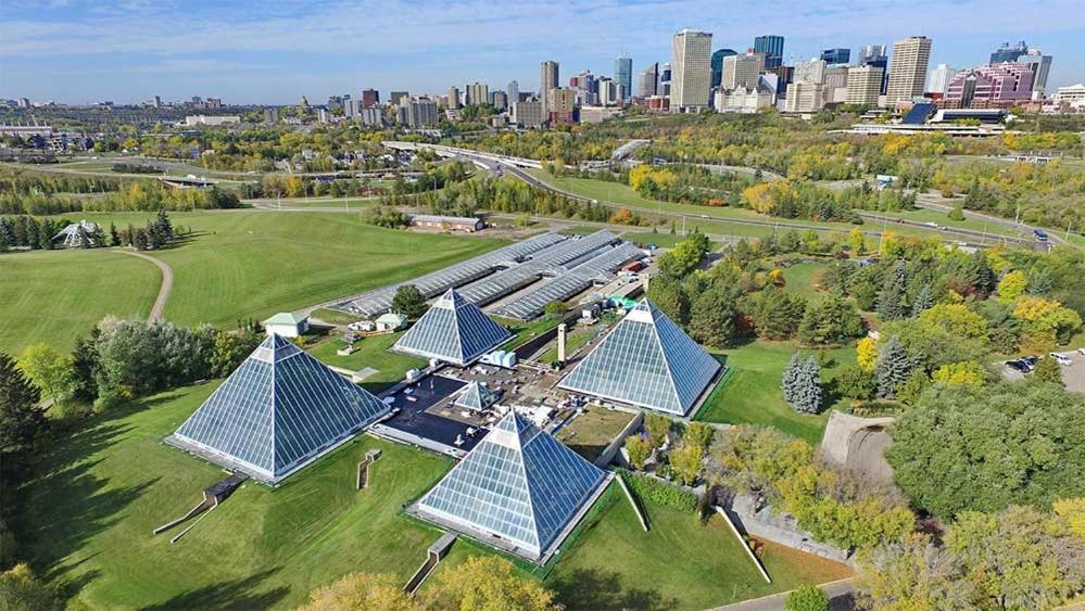 Vibrant Modern Oasis - Free Parking, Netflix, Fast Wi-Fi - Long Stays Welcome Edmonton Exterior foto